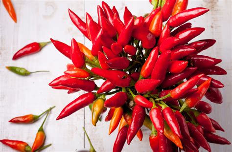 Pepper Hot Super Chili Hybrid Hometown Seeds