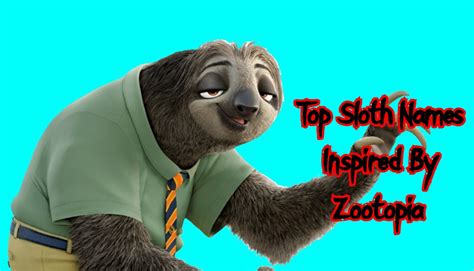 Top 20 Famous Sloths Names From Movies Petpress