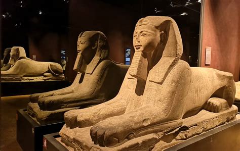il museo egizio di torino alla scoperta della storia e dei misteri di un antica civiltà