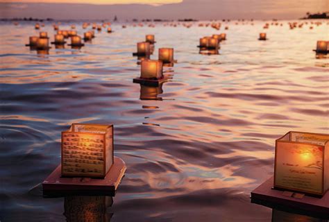 peaceful japanese floating lanterns by julie thurston