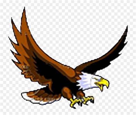 Download High Quality Eagle Clipart Flying Transparent Png Images Art