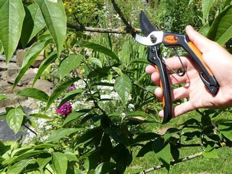 **gewinnspiel** gewinne eine rückerstattung deines einkaufes! Gewinnspiel mit Garten-Primus.de: Jetzt mitmachen!