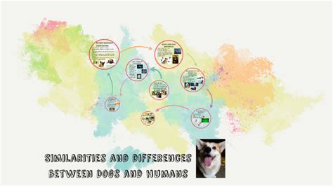 Similarities And Differences Between Dogs And Humans By Amanda K On Prezi