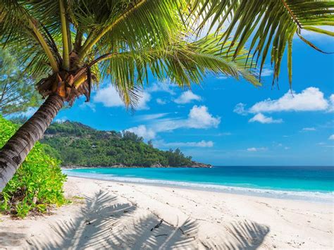 Book Jamaica Holidays Package 2021-22 | Holidays with the Best Travel