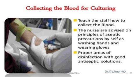 Collecting Blood For Culturing Principles And Practice
