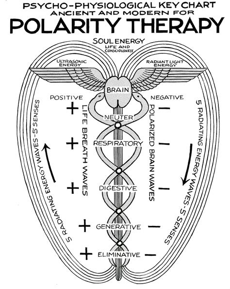 polarity therapy — your medicine woman