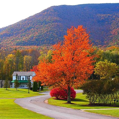 Pin By Fiona Creedon On Vermont Autumn Scenery Vermont Photography