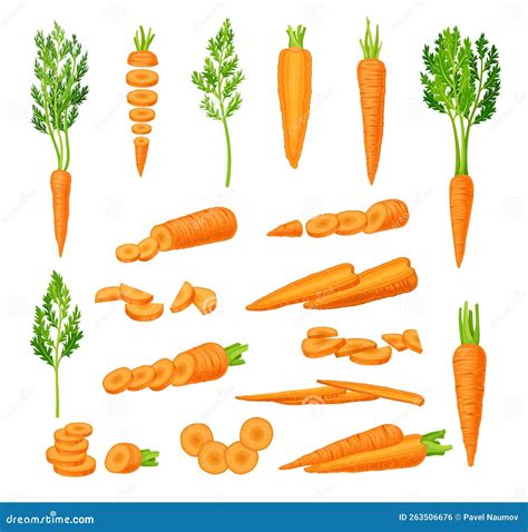 Bright Carrot Root Vegetable With Top Leaves Whole And Sliced Big