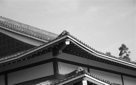 What Are Japanese Roofs Made Of Read This First 2024