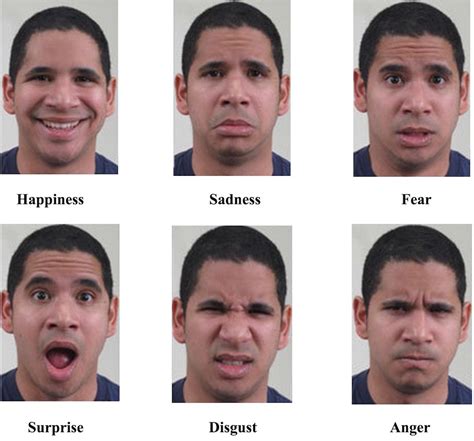 Core Facial Emotions Psychology Compass