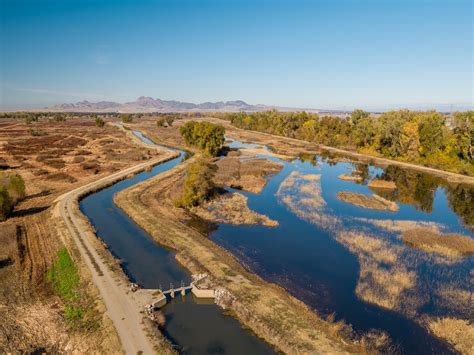 The Floodplain Forward Bypasses And Fish Habitat Northern California