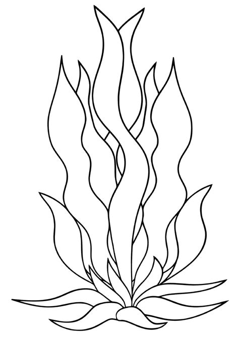 Seaweed Coloring Pages Coloring Pages To Download And Print
