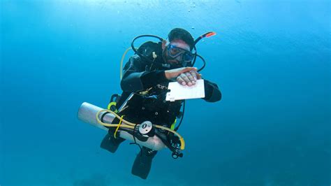 Self includes a programming language, a collection of objects defined in the self language, and a programming environment built in self for writing self. Self-Reliant Diver - PADI Specialty Course - Belize Pro ...