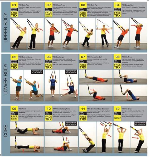 Great Trxsuspension Training Workout Basics For Beginners Upper Body