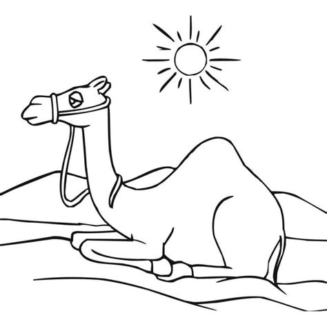 Dibujos Para Colorear Camello Imprimible Gratis Para Los Niños Y Los