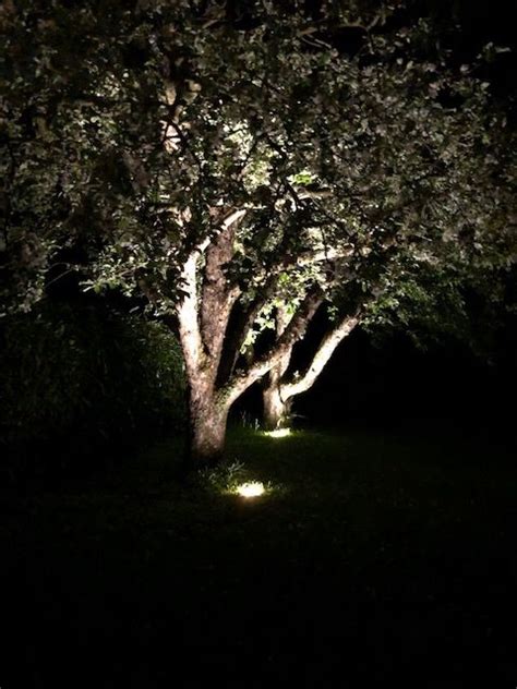 Pflanzkübel, die leuchten, bodenstrahler die pflanzen illuminieren. Gartenbeleuchtung=Wohnraumerweiterung | Gartenbeleuchtung ...