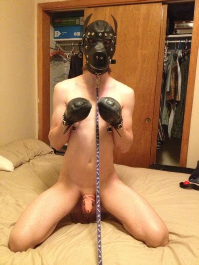 Gay Puppy Play Bdsm Sex Porn Images My Xxx Hot Girl