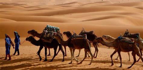 The Berbers The North African Nomads Who Live In The Sahara Desert