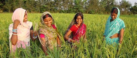 Women In Agriculture Enhancing Their Role And Promoting Sustainability