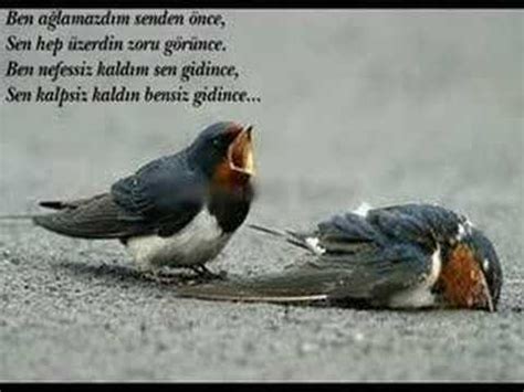 Bu hastalığın pençesinde çocukluğunu geçiren edip akbayram'ın müziğe tutkusu da çocukluk yıllarında. edip akbayram KUŞLAR - YouTube