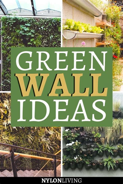 Creating An Incredible Green Wall Design With Green Wall Planters Diy