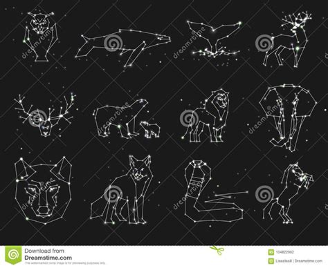 Collection Of Animals Constellation On Dark Sky Wild Animals With Line