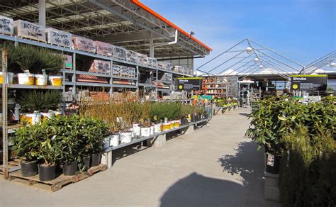 Home Depot Garden Center Garden And Home Inspiration