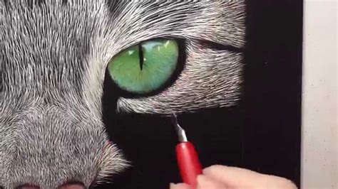 The knowledge should be widely applicable, whether you're cartooning, drawing realistic characters, or even modelling in 3d. Incredible Tabby Cat Scratch Board Speed Drawing - YouTube