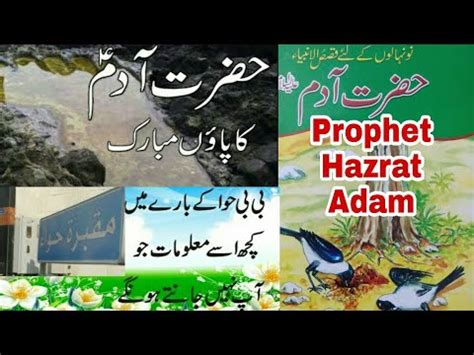 Prophet Hazrat Adam Islam Qurani Waqiat Amma Hawa Islami Urdu