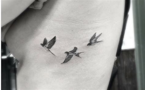 Pin By Evelyn On Ink Small Bird Tattoos Side Tattoos Bird Tattoo Ribs