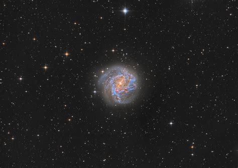 M83 Southern Pinwheel Galaxy Cosmic Colors