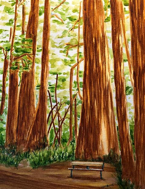Redwoods Watercolor Painting Margaret Bucklew Art