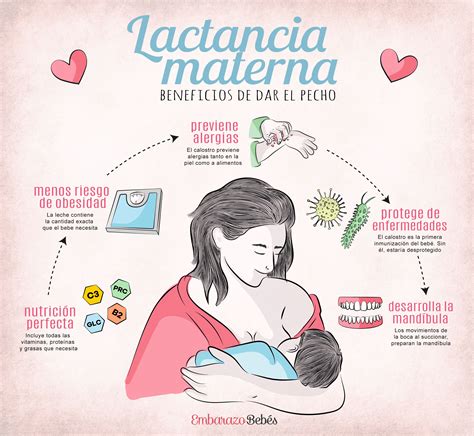 Lactancia Materna Lactancia Materna Lactancia Cosas De Embarazadas