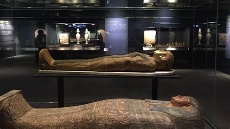 Egyptian Mummies From The British Museum Exploring Ancient Lives Ima Solutions