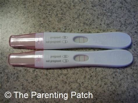 Can You Take Pregnancy Test During Spotting Pregnancywalls
