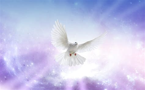 2 Symbol Of Holy Spirit Dove Dove Holy Symbol Of Spirit Symbol