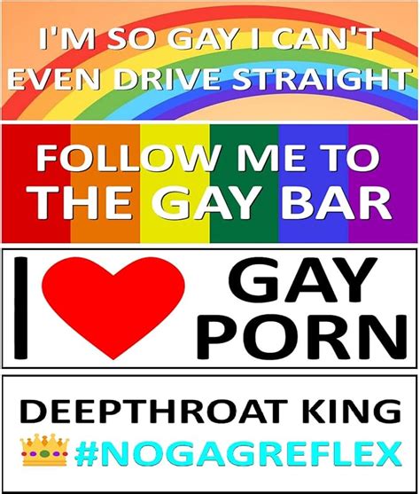 Funny Gay Bumper Stickers Great For Gags Jokes Gifts Set Of Sticker X Amazon