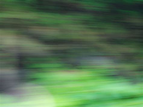 Motion Blur Trees Black Blur Green Motion Abstract Nature