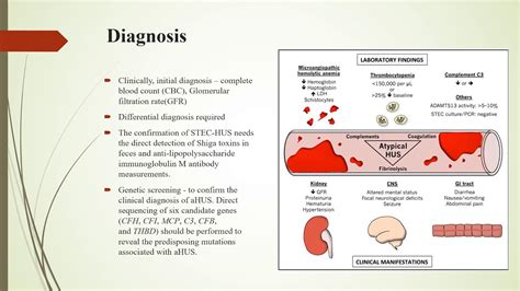 New Treatments For Atypical Haemolytic Uraemic Syndrome Youtube