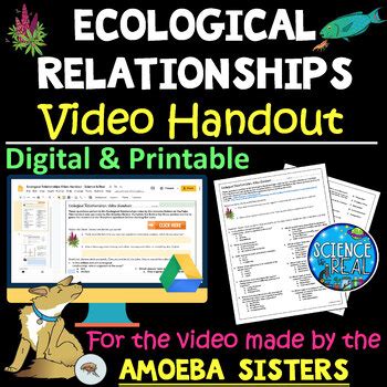 See a recent post on tumblr from @amoebasisters about alleles. Ecological Relationships Worksheet Pdf Answer Key Amoeba Sisters - worksheet
