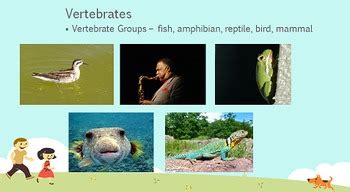 Here are the siyavula study guides for grade 5 learners writing natural sciences and technology. 5th Grade Georgia GA Milestones Science SC Study Guide by EDZUKATION