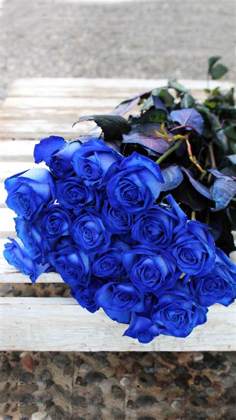 Send A Beautiful Bouquet Of Blue Roses Choose Quantity Blue Rose