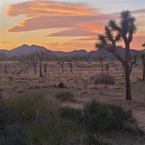 Beautiful Sunset Joshua Tree National Park Rjoshuatree