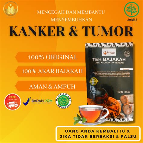 AMPUH Teh Bajakah Asli Kalimantan Original Teh Celup Akar Bajakah Suku