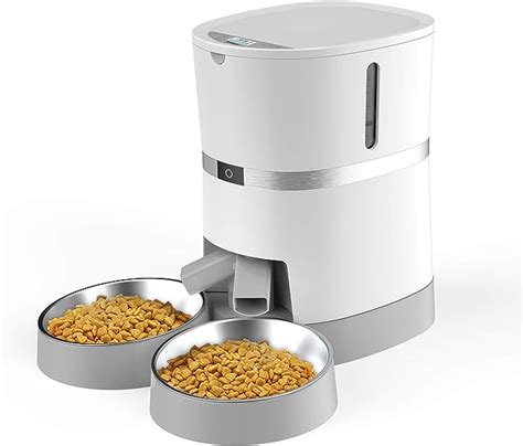 Top 10 Collar Activated Cat Food Feeder Best Home Life