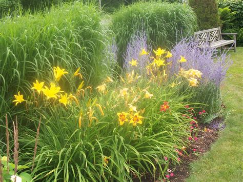 The Garden Free Stock Photo Public Domain Pictures