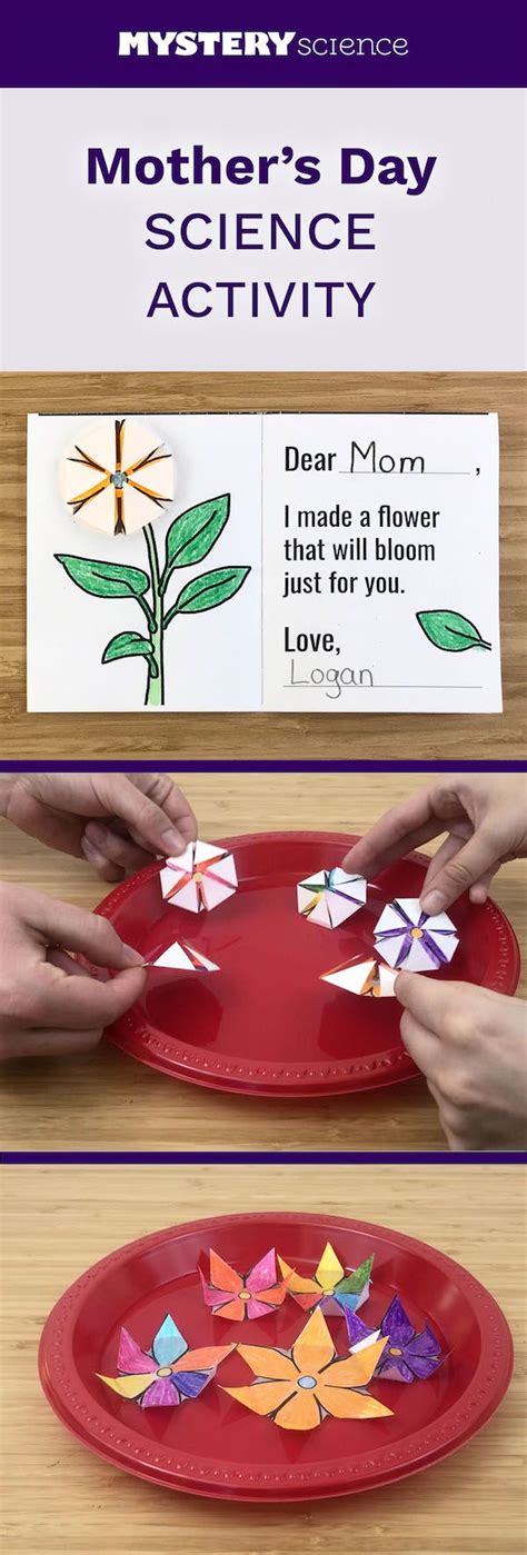 Search for one more hint coin. Paper-based Mother's Day activity | Flower science ...