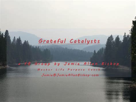 Grateful Catalysts