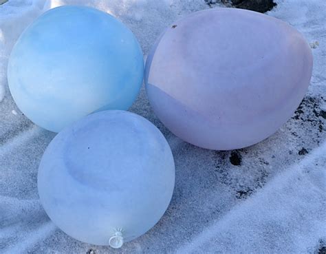 Quirky Way To Add Color To Your Winter Garden Frozen
