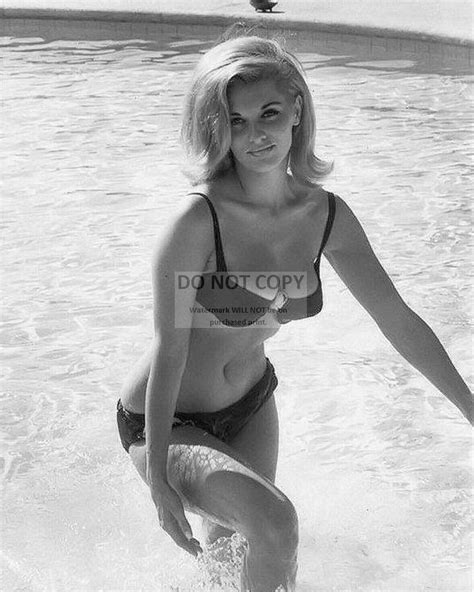 Actress Nancy Kovack Pin Up 8x10 Publicity Photo Mw340 Ebay